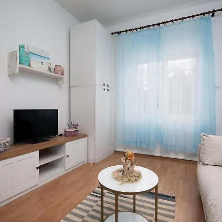 In Near & Bbq Apartment Medulin